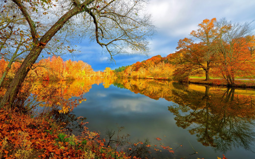680692 (a): :2560x1600